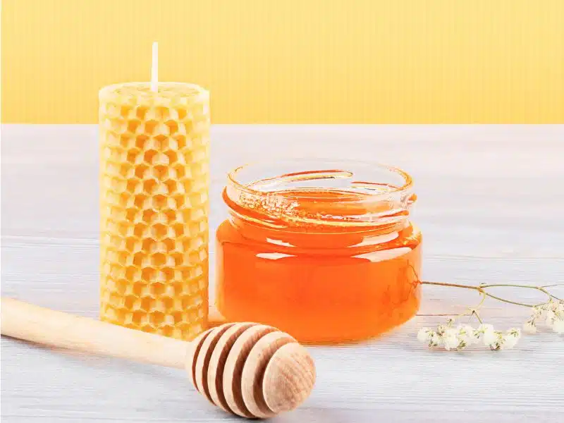 Coffret miel-bougie Parrainage d'abeilles par un particulier | Adopte des abeilles à Nice, Cannes, Mougins et en PACA 06