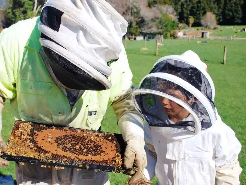 Sensibilisation des jeunes à la cause des abeilles dans le 06 Parrainage d'abeilles par un particulier | Adopte des abeilles à Nice, Cannes, Mougins et en PACA 06